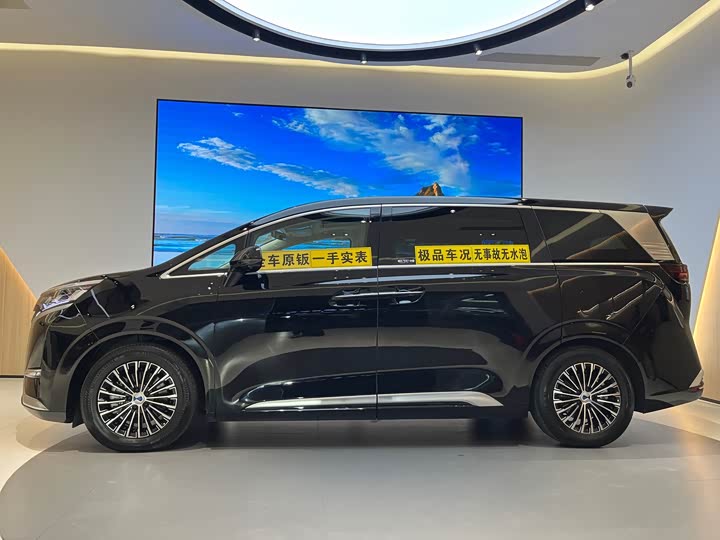 Фото 3 - Denza D9