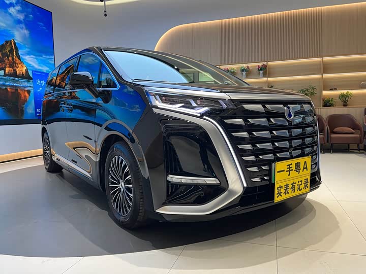 Фото 7 - Denza D9