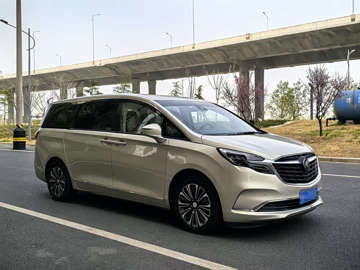 Фото 3 - Buick GL8 ES