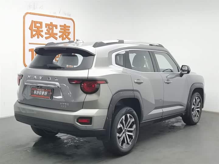 Фото 2 - Haval H-Dog