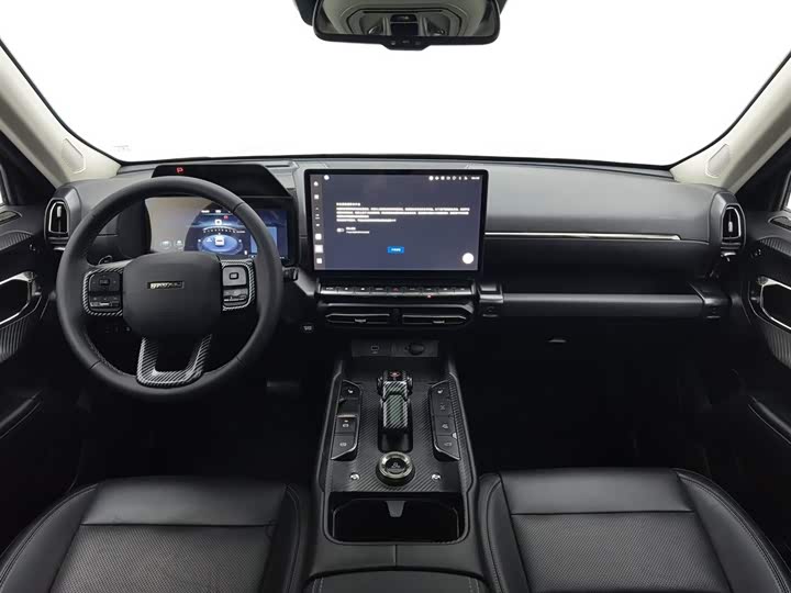 Фото 5 - Haval H-Dog