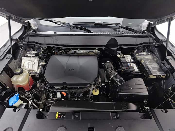 Фото 6 - Haval H-Dog