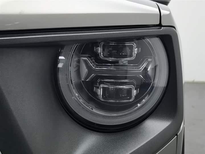 Фото 7 - Haval H-Dog