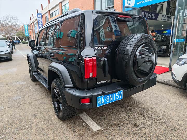 Фото 4 - Tank 300