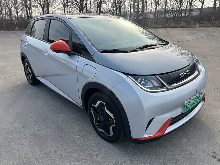 Фото 3 - BYD Dolphin