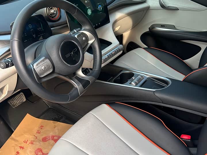 Фото 4 - BYD Dolphin