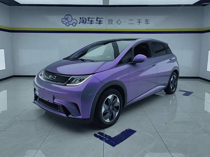 Фото 1 - BYD Dolphin