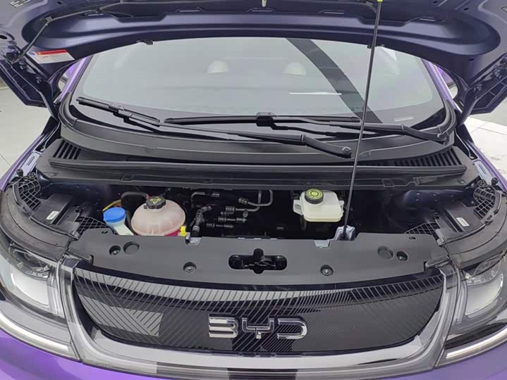 Фото 9 - BYD Dolphin