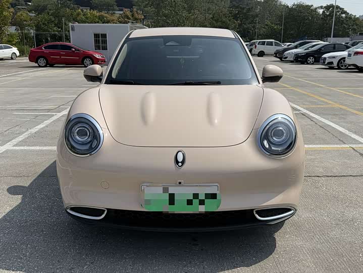 Фото 2 - Ora Good Cat (03)