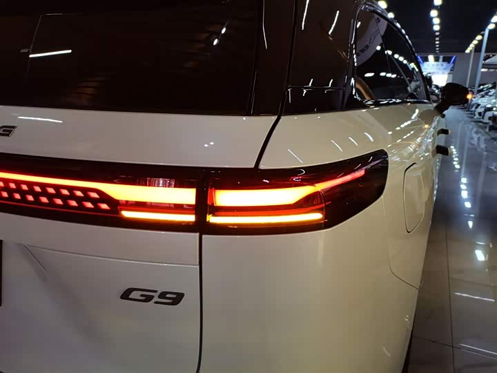 Фото 8 - XPeng G9