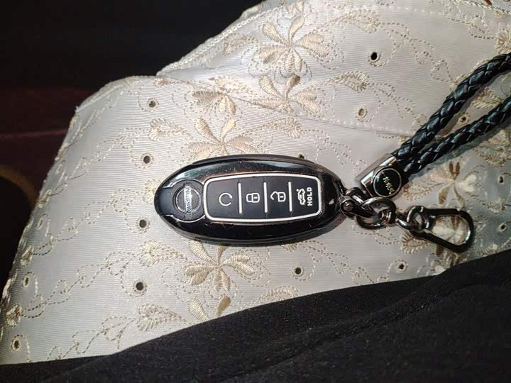 Фото 9 - Nissan Sylphy