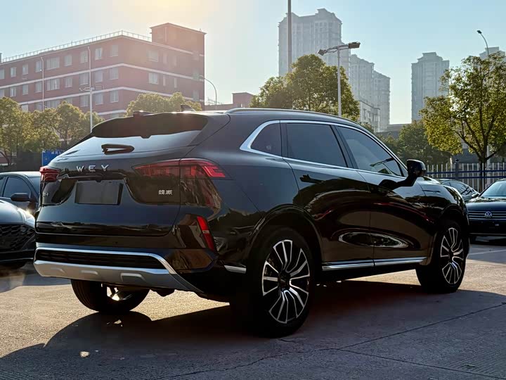 Фото 6 - Wey Mocha