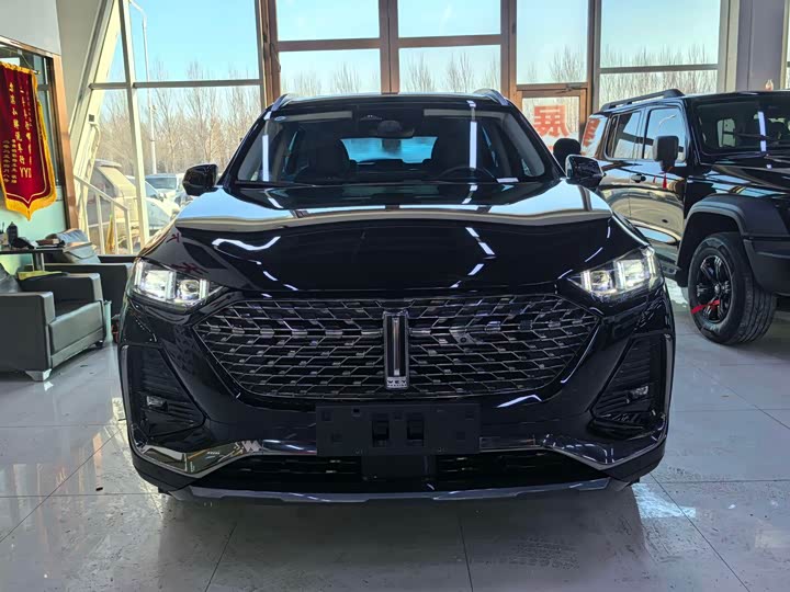 Фото 2 - Wey Latte DHT