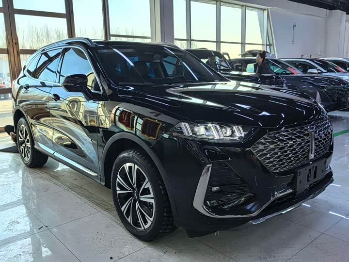 Фото 3 - Wey Latte DHT