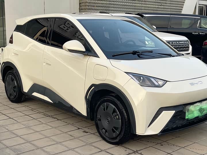 Фото 2 - BYD Seagull