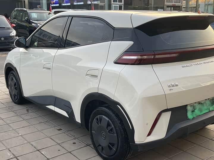 Фото 4 - BYD Seagull