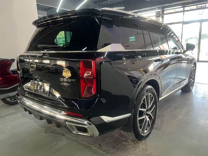 Фото 6 - GAC Trumpchi GS8