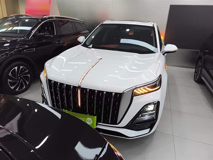 Фото 3 - Hongqi HS5