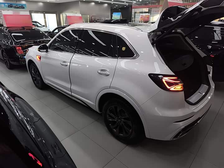 Фото 5 - Hongqi HS5