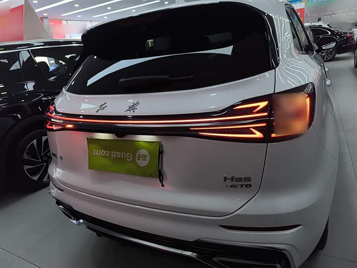 Фото 6 - Hongqi HS5