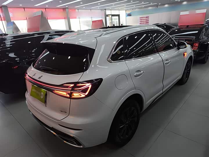 Фото 7 - Hongqi HS5