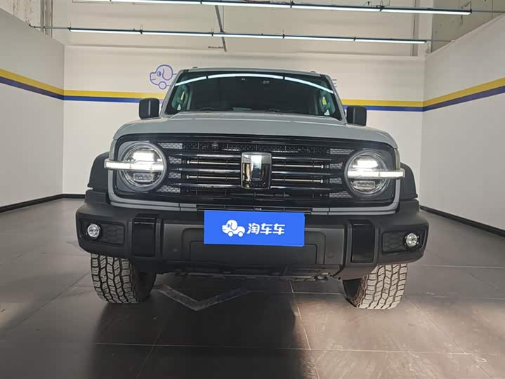 Фото 2 - Tank 300