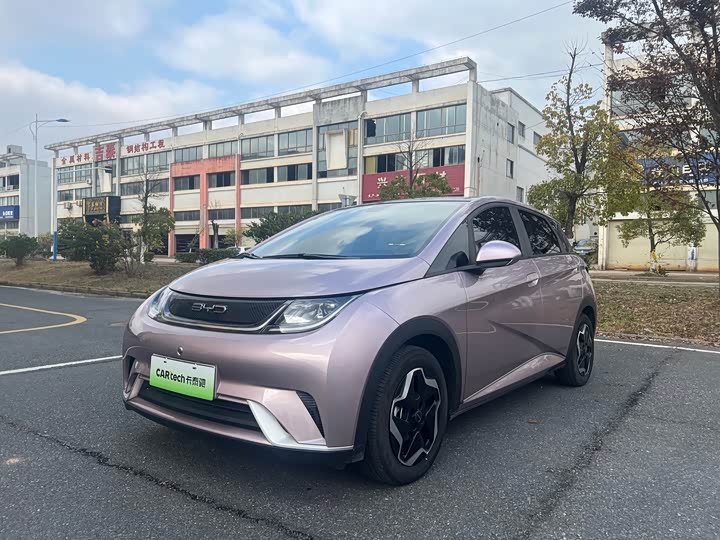 Фото 1 - BYD Dolphin