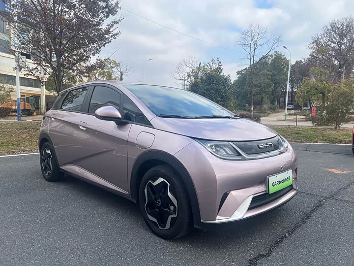 Фото 6 - BYD Dolphin