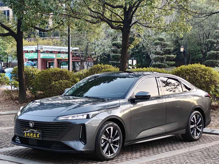 Фото 1 - Changan Yida