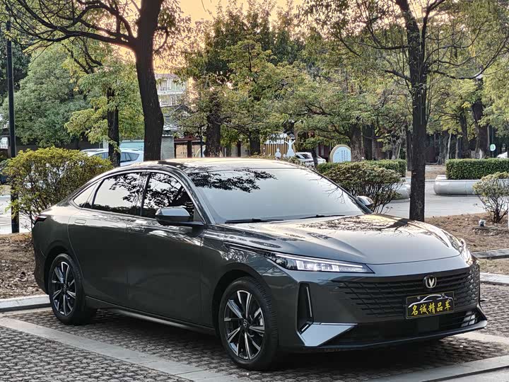 Фото 3 - Changan Yida