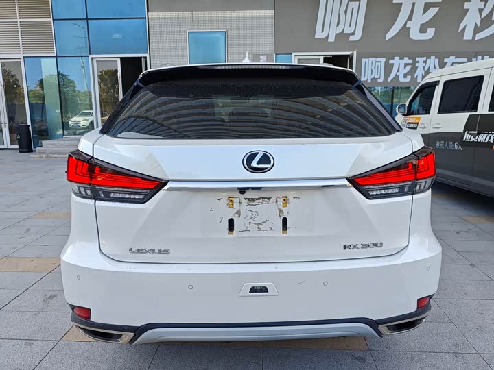 Фото 9 - Lexus RX