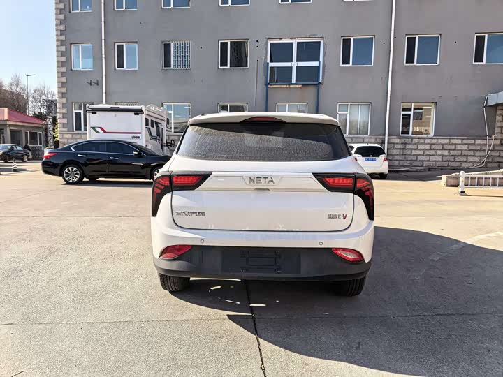 Фото 2 - Hozon V