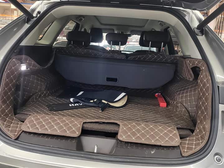 Фото 4 - Haval Ruge Max