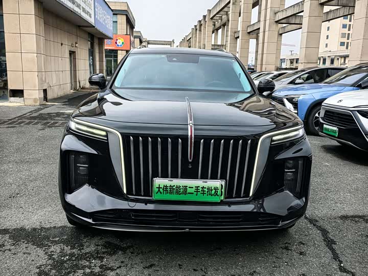 Фото 2 - Hongqi E-HS9