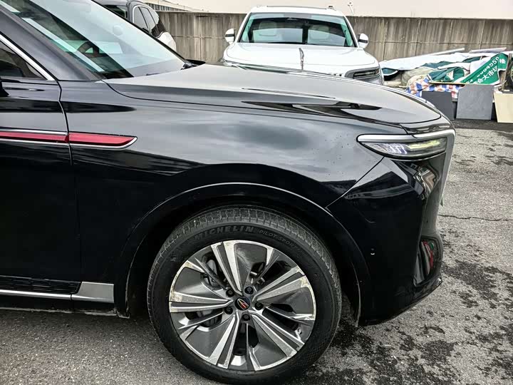 Фото 3 - Hongqi E-HS9