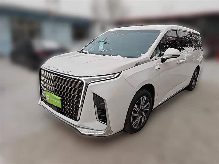 Фото 2 - Maxus G90