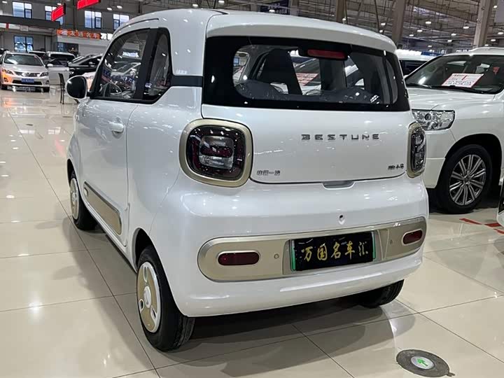 Фото 6 - Bestune Pony