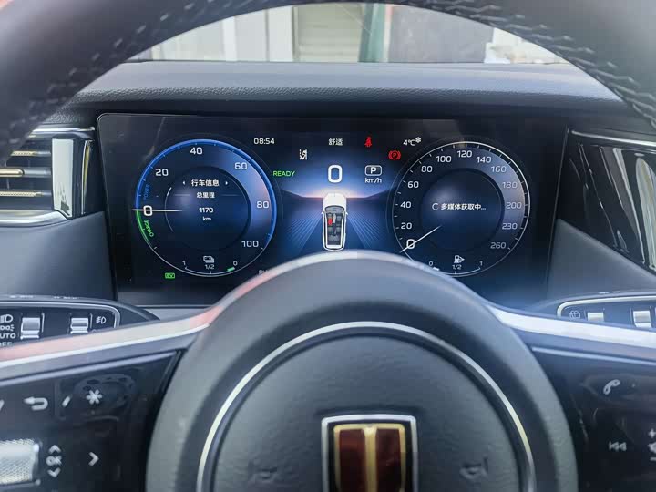 Фото 4 - Hongqi HS7 Hybrid