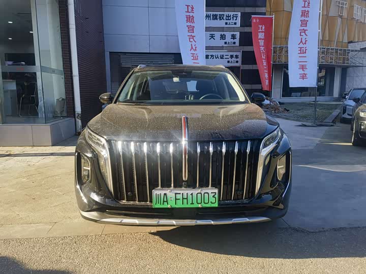 Фото 5 - Hongqi HS7 Hybrid