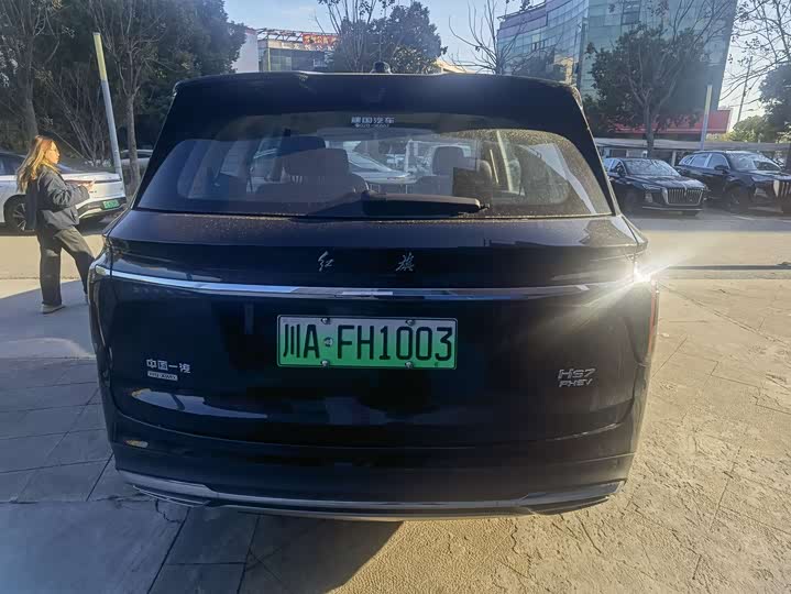 Фото 9 - Hongqi HS7 Hybrid