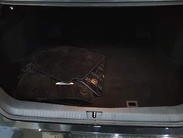 Фото 4 - Toyota Avalon