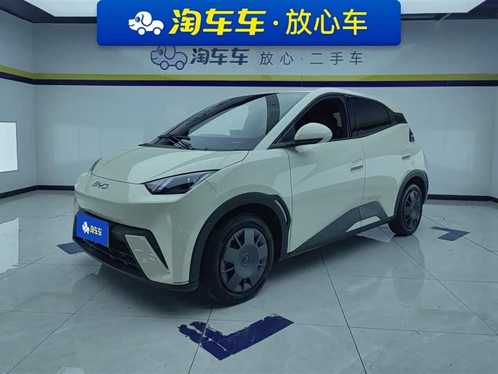 Фото 1 - BYD Seagull