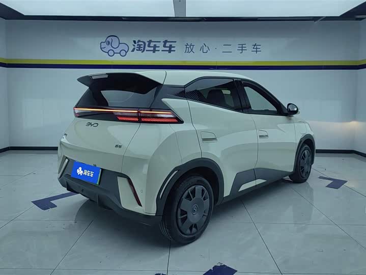 Фото 3 - BYD Seagull