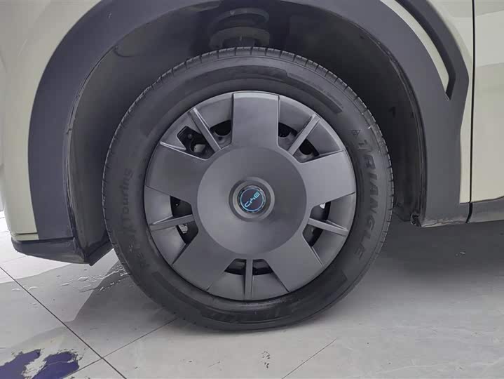 Фото 6 - BYD Seagull