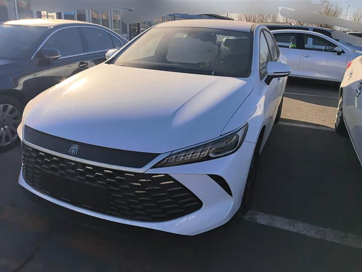 Фото 1 - BYD Qin Plus