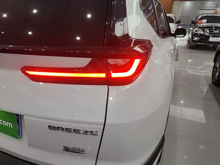 Фото 8 - Honda Breeze