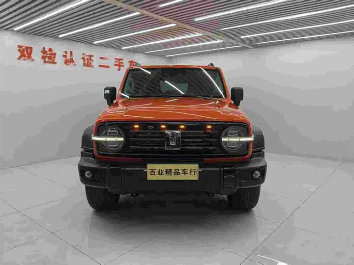 Фото 2 - Tank 300