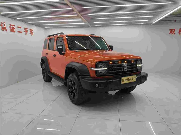 Фото 3 - Tank 300