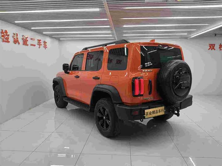 Фото 4 - Tank 300