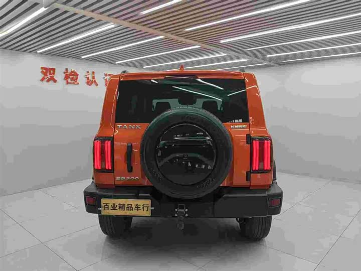 Фото 5 - Tank 300